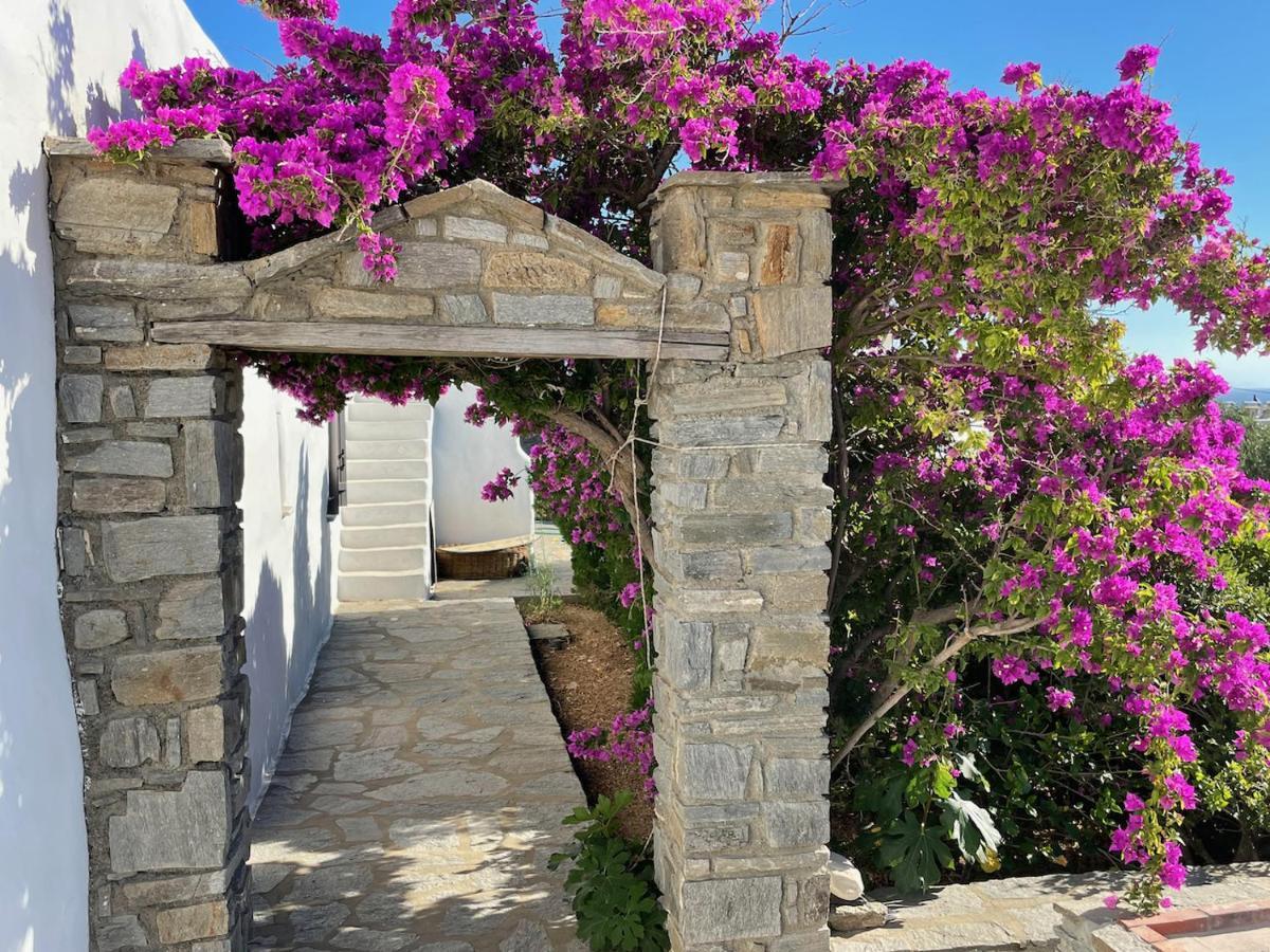 Villa Zeus - Parikia - Paros - Grece Krotiri Buitenkant foto